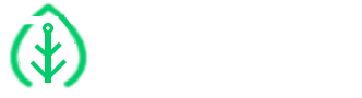 LifeInSYS Market